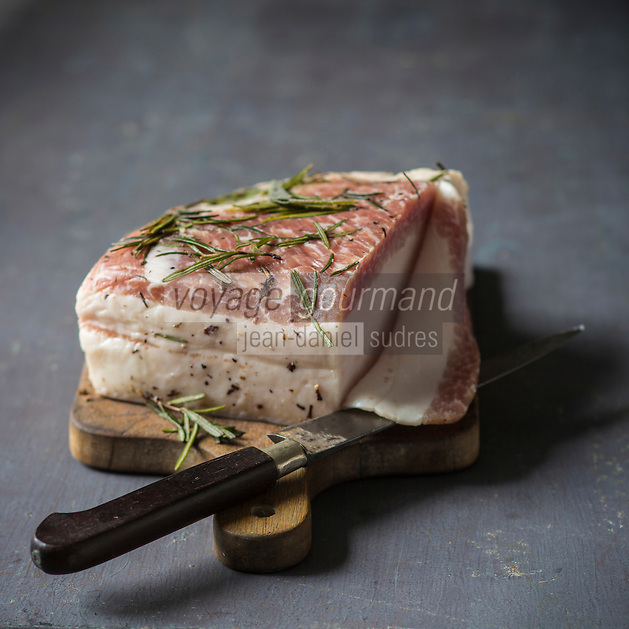 Italie, Val d'Aoste, Arnad: Préparation du Lard d'Arnad, AOP, à la charcuterie: Maison Bertolin - Vallée d'Aoste Lard d'Arnad est le nom d'un produit de charcuterie traditionnel obtenu sur le territore de la commune d'Arnad, dans la région autonome Vallée d'Aoste, DOP Denominazione di Origine Protetta, // Italy, Aosta Valley, Arnad: Preparation of Arnad lard, PDO, charcuterie: House Bertolin - Vallée d’Aoste Lard d’Arnad (PDO) is a cured pork product—specifically a species of lardo—produced exclusively within the municipal boundaries of the commune of Arnad in Aosta Valley,