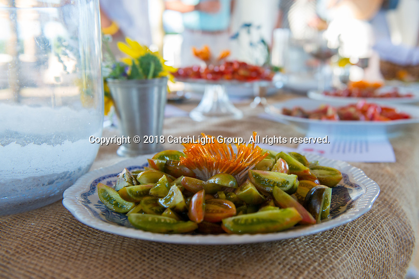Recipe for Success Chefs in the Field dinner at Hope Farms