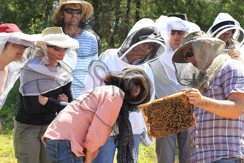 54 In Bathurst, Tim Malfroy's team during a weekend of courses in natural apiculture with the Warré type of hives. This type of hive requires very little intervention on the beekeeper's part. Simple and easy, this technique is ideal for urban beekeepers and has been enthusiastically received in the permaculture milieu in fashion on the east coast.///À Bathurst, l’équipe de Tim Malfroy pendant un week-end de formation à l’apiculture naturelle avec les ruches de type warré. Ce type de ruche demande très peu d’intervention de la part de l’apiculteur. Simple, facile, cette technique est idéale pour les apiculteurs urbains et connaît un engouement certain dans le milieu de la permaculture à la mode sur la côte Est.