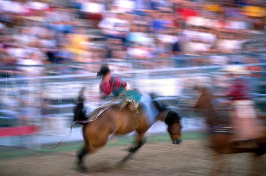 Blurred action image of a cowboy on a horse in a bronc riding event at a rodeo. Texas.