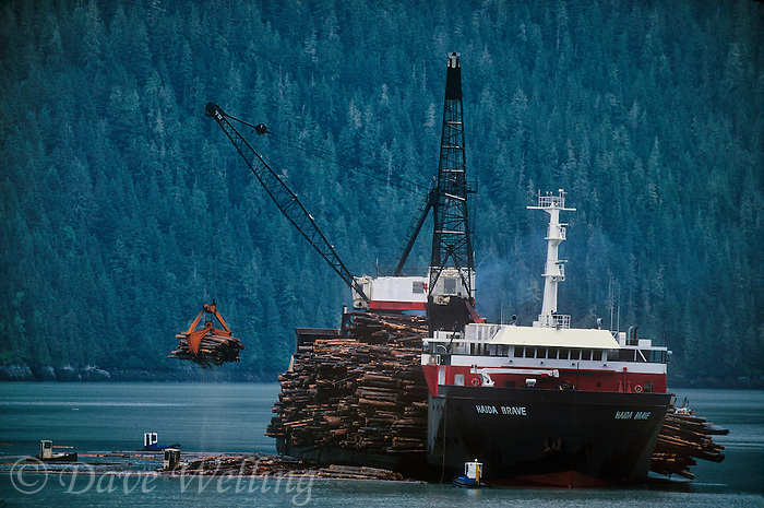 731000327 a working logging ship the haida brave loads floating logs or timber on board with help from small tug boats for transport to international destinations stewart bay british columbia canada - image is not property or model released