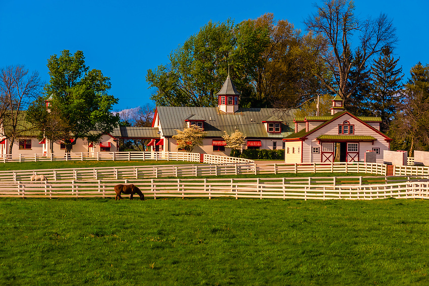 Calumet Farm (thoroughbred horse farm), Lexington, Kentucky USA