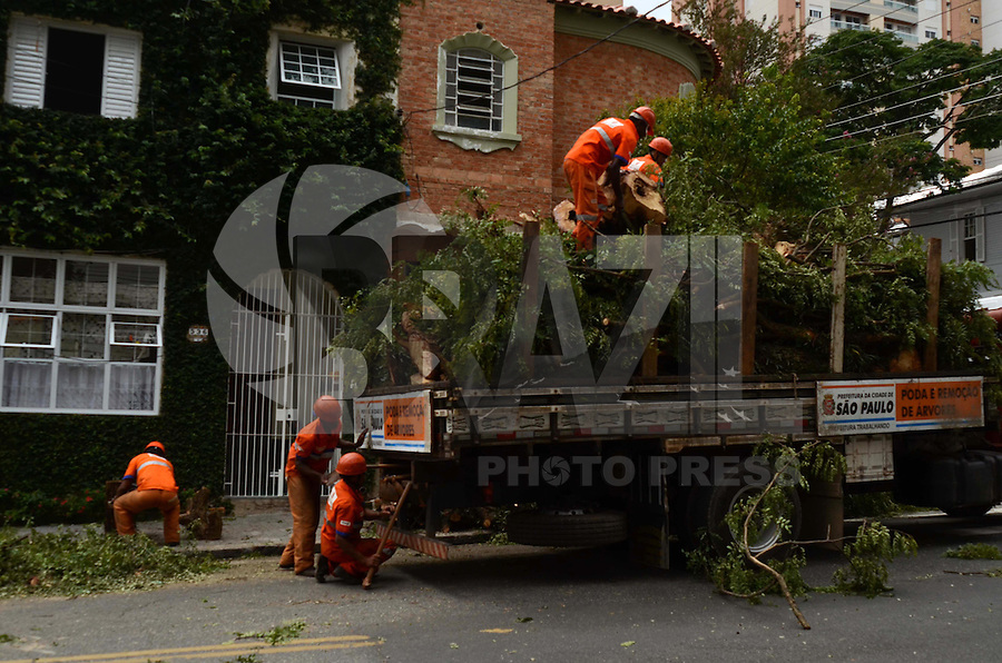 SÃO PAULO, SP, 08 DE FEVEREIRO DE 2012 - QUEDA ARVORE VILA MARIANA - Homens da Prefeitura trabalham na retirada de uma arvore que caiu com a tempestade de ontem na Rua Pelotas, bairro da Vila Mariana na tarde desta quarta-feira. FOTO: ALEXANDRE MOREIRA - NEWS FREE.