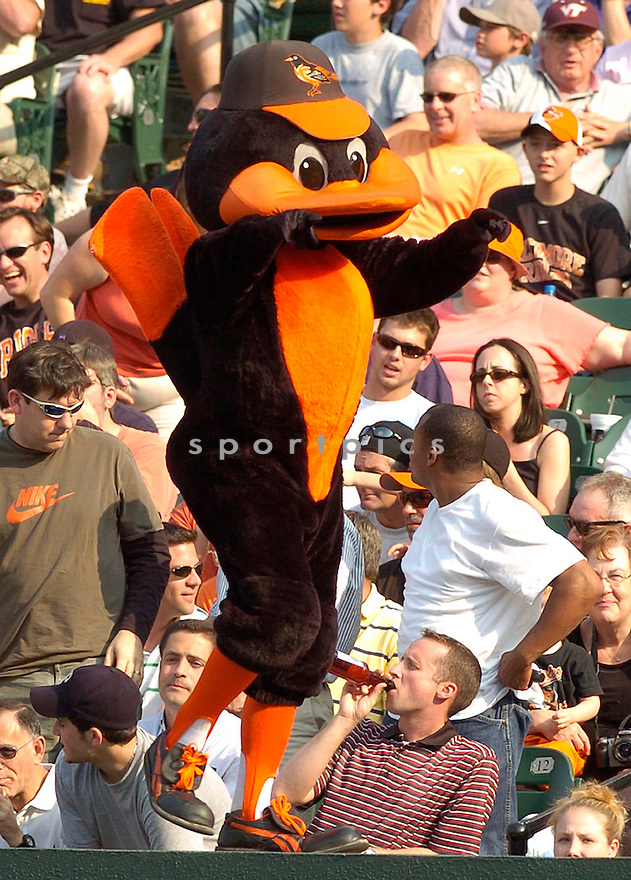 ORIOLES BIRD, of the Baltimore Orioles, in action during the Orioles game against the Oakland A's in Baltimore Maryland on April 24, 2007...A's win 4-2...DAVID DUROCHIK / SPORTPICS..