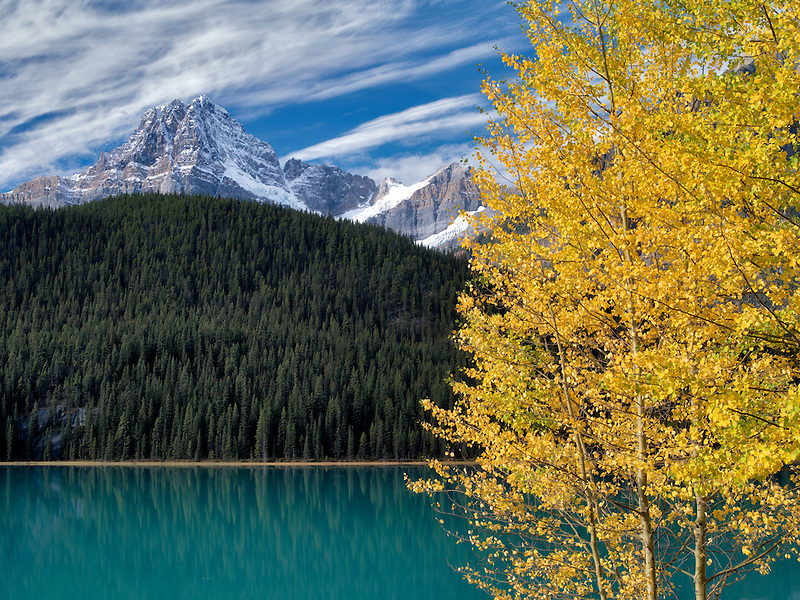Waterfall Lakes and House Peake with fall colored aspens. Banff National Park. Alberta, Canada