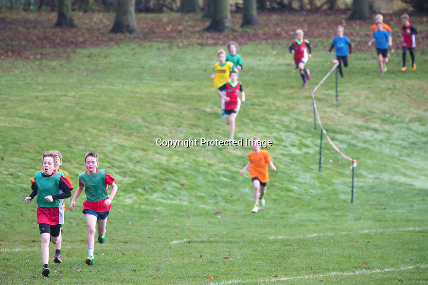 10/11/18<br />
<br />
Year 5 & 6 Rural Derbyshire School Sport Partnership Cross Country Championships, Ashbourne, Derbyshire.<br />
<br />
All Rights Reserved: F Stop Press Ltd. +44(0)7765 242650 www.fstoppress.com www.rkpphotography.co.uk