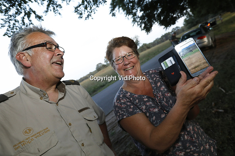 Foto: VidiPhoto<br />
<br />
OTTERLO – De eerste amateur- en natuurfotografen, alsmede wildliefhebbers, verzamelen zich inmiddels langs de Wildbaanweg op Nationaal Park de Hoge Veluwe. Begin september begint de bronsttijd en kunnen er foto’s gemaakt worden van burlende en parende herten. Boswachter Henk Ruseler van het park en zijn collega jachtopzieners houden scherp in de gaten dat massaal toegestroomde publiek straks niet de regels overtreedt en de rustplekken van de dieren verstoort.