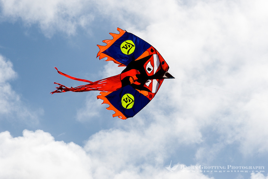 Norway, Sola. Kiteflying at Hellestø beach.