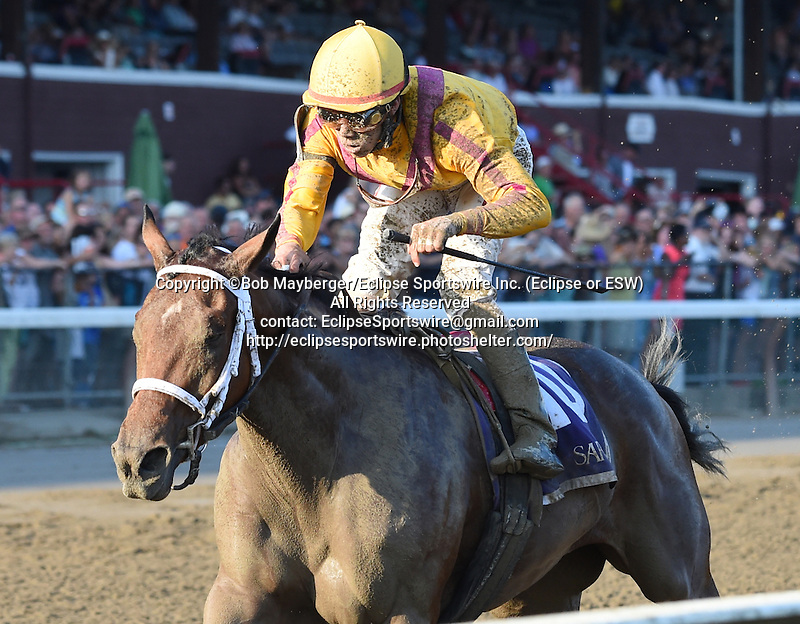 Cavorting (no. 10), ridden by Irad Ortiz Jr. and trained by Kiaran McLaughlin, wins the 68th running of the grade 2 Prioress Stakes for three year old fillies on September 6, 2015 at Saratoga Race Course in Saratoga Springs, New York. (Bob Mayberger/Eclipse Sportswire)