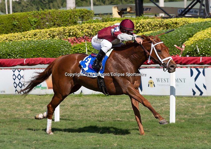 January 25, 2020: #3 Atomic Blonde with jockey Javier Castellano on board wins the South Beach Stakes during the Pegasus World Cup Invitational at Gulfstream Park Race Track in Hallandale Beach, Florida. Liz Lamont/Eclipse Sportswire/CSM