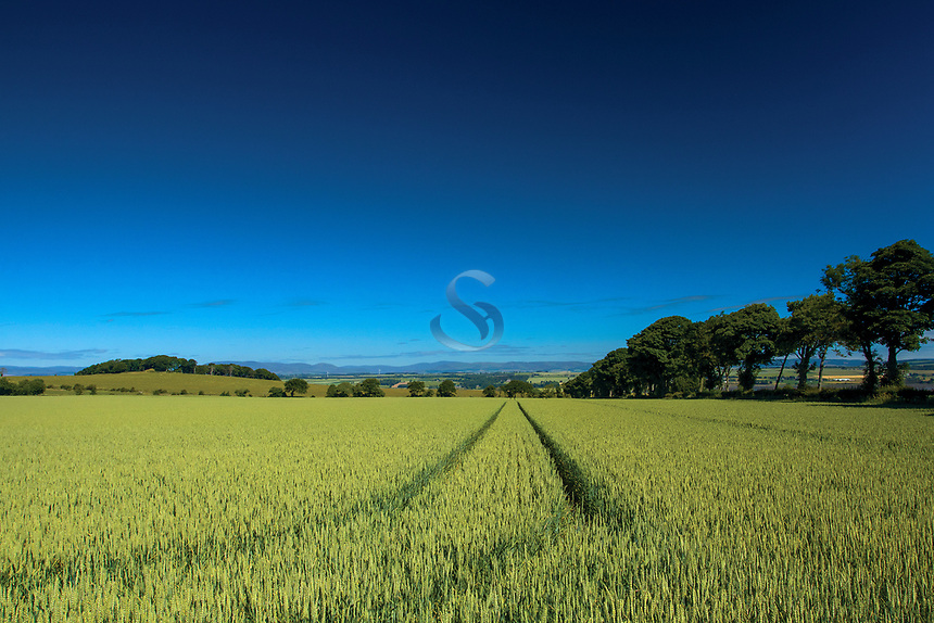 Looking towards the Angus hills from near Montrose, Angus