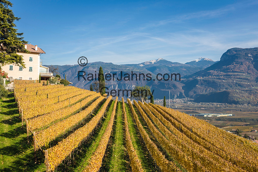 Italy, Alto Adige - Trentino (South Tyrol), Termeno sulla strada del vino: famous wine growing region, country of the Gewuerztraminer | Italien, Suedtirol, suedlich von Bozen, Tramin an der Weinstrasse: beruehmte Weinbauregion, Land des Gewuerztraminers