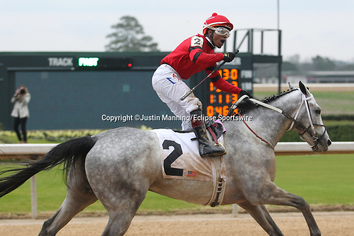 February 17, 2020: Jockey Ricardo Santana Jr. aboard Silver Prospector (2) celebrating after crossing the finish line, winning the Southwest Stakes at Oaklawn Racing Casino Resort in Hot Springs, Arkansas on February 17, 2020. Justin Manning/Eclipse Sportswire/CSM