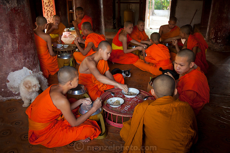 Wat Pak Khan, Luang Prabang, Laos. Monks eating after Tak Bat. Every morning at dawn, Buddhist monks walk down the streets collecting food alms from devout, kneeling Buddhists, and some tourists. They then return to their temples (also known as wats) and eat together. This procession is called Tak Bat, (Making Merit).