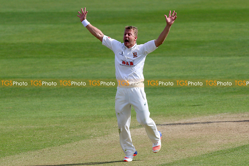 Neil Wagner of Essex with an appeal for a wicket during Somerset CCC vs Essex CCC, Specsavers County Championship Division 1 Cricket at The Cooper Associates County Ground on 15th April 2017