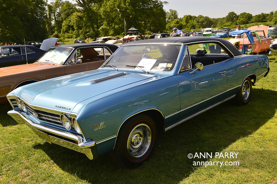 Old Westbury, New York, U.S. - June 1, 2014 - A blue 1967 Chevrolet Chevelle SS 396, owner ARTIE STAVROS of LEVITTOWN, is an entry at the Antique and Collectible Auto Show held on the historic grounds of elegant Old Westbury Gardens in Long Island, and sponsored by Greater New York Region AACA Antique Automobile Club of America.