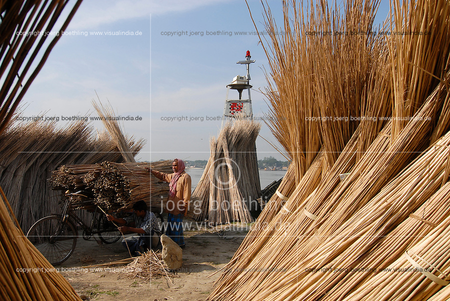 BANGLADESH, sticks from the Jute plant after processing / BANGLADESCH, Stoecker der Jutepflanze nach der Gewinnung der Faser aus der Rinde