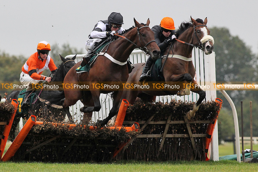 Race winner Makari ridden by Andrew Tinkler jumps alongside House Party ridden by Denis O'Regan (R) in the Huge Prize Money At Fakenham 26th October Novices Hurdle - Horse Racing at Fakenham Racecourse, Norfolk - 19/10/12 - MANDATORY CREDIT: Gavin Ellis/TGSPHOTO - Self billing applies where appropriate - 0845 094 6026 - contact@tgsphoto.co.uk - NO UNPAID USE