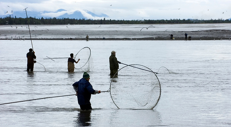 Dipnet fishermen work the mouth of the Kenai River where it drains into Cook Inlet in downtown Kenai. Residents of Alaska can use the nets, which trap fish by their gills, in the Kenai River and nearby Kasilof River for several weeks to fill their freezers and canning jars with sockeye salmon.