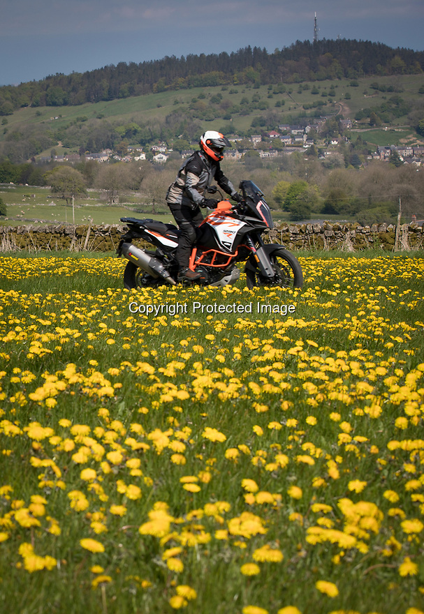 08/05/17<br />
<br />
A motorcyclist makes his way along a track flanked by acres of dandelions in the Derbyshire Peak District near Wirksworth.<br />
<br />
<br />
All Rights Reserved F Stop Press Ltd. (0)1773 550665 www.fstoppress.com
