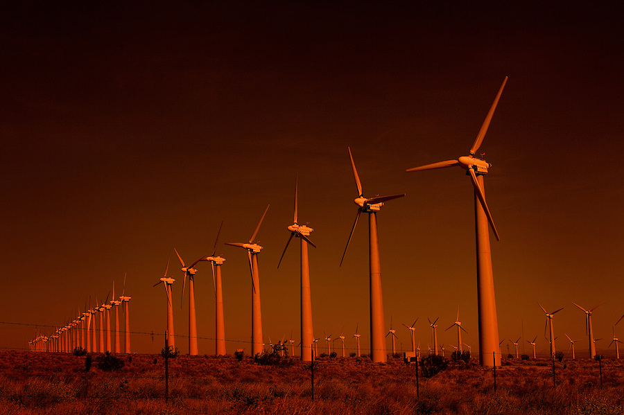 Tehachapi, California, November 16, 2010 - A view of the Tehachapi Wind Farm, a collection of about 5,000 wind turbines operated by over a dozen private companies. It is the second largest collection of wind generators in the world, however it ranks first in terms of output, collectively producing about 800 million kilowatt-hours of electricity. California is leading the nation in renewable energy. In 2002, California established its Renewable Portfolio Standard Program, with the goal of increasing the percentage of renewable energy in the state's electricity mix to 20 percent by 2017. The 2003 Integrated Energy Policy Report recommended accelerating that goal to 20 percent by 2010, and the 2004 Energy Report Update further recommended increasing the target to 33 percent by 2020. In 2006 under Senate Bill 107, California's Renewables Portfolio Standard (RPS) was created and codified the 20 percent goal. The RPS program requires electric utilities and providers to increase procurement from eligible renewable energy resources by at least 1 percent of their retail sales annually, until they reach 20% by 2010. On November 17, 2008, Governor Arnold Schwarzenegger signed Executive Order S-14-08 requiring that California utilities reach the 33 percent renewables goal by 2020..