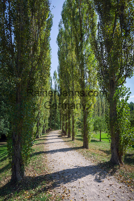 Germany, Baden-Wuerttemberg, Tauber Valley, Bad Mergentheim: poplar alley at Castle Garden | Deutschland, Baden-Wuerttemberg, Taubertal, Bad Mergentheim: Pappelalle im Schlossgarten