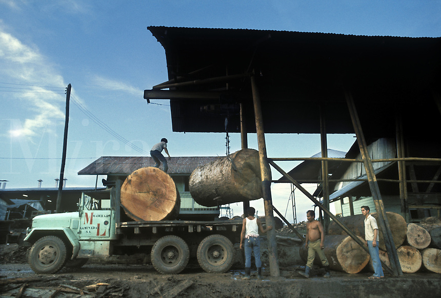 Logs being unloaded from truck at sawmill in Pucallpa on Ucayali River, Peru.
