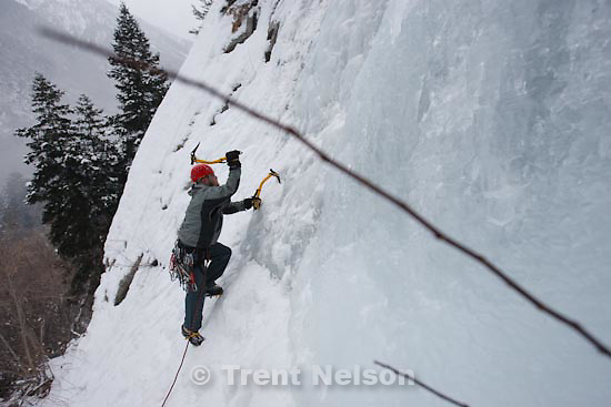 Trent Nelson | The Salt Lake Tribune.Shane Hall ice climbing at the Great White Icicle in Little Cottonwood Canyon, Tuesday, December 29, 2009.