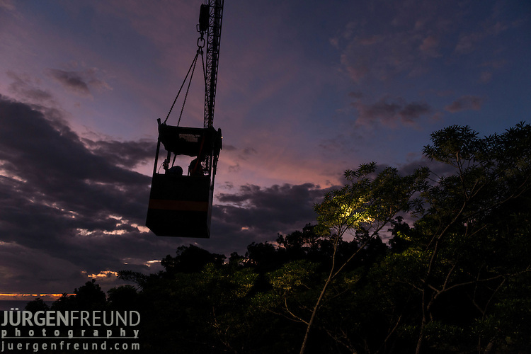 Up on top of the Daintree rainforest canopy, JCU Post Doctorate Dr. Raymond Dempsey does a comparative study of photo-protective responses in the leaves of tropical trees during a wet-dry seasonal transition. He takes pre-dawn, mid-day and afternoon measurements with highly complex scientific instruments that measures levels of photosynthesis as well as collects leaf disks to take back to the lab for futher studies.