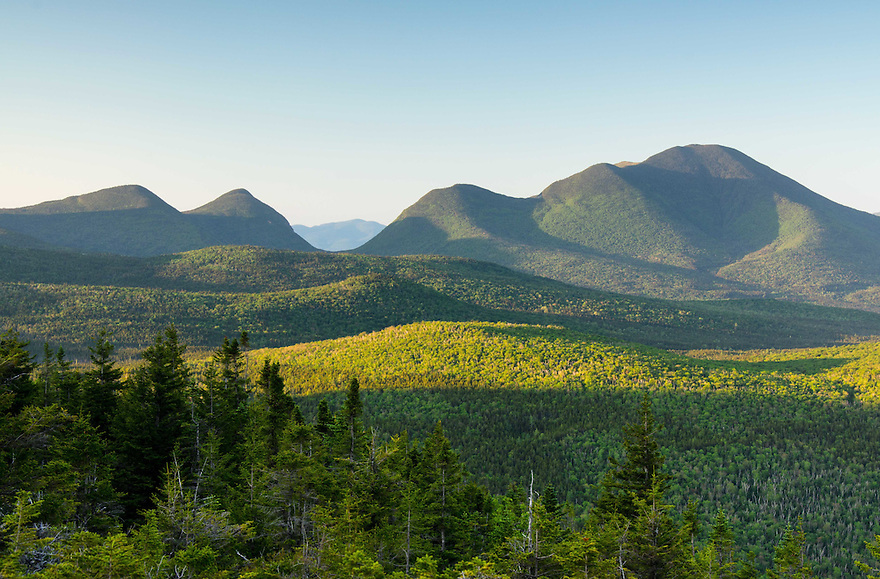 An early morning study of Carrigain Notch from across Zealand Valley