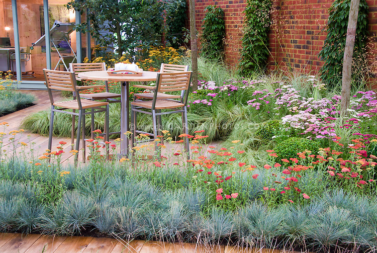 Achilea, Ornamental grass groundcover Festuca, deck patio, garden furniture patio set with table and chairs, house with drawing board, glass windows, door, brick wall, ornamental grass, home landscaping