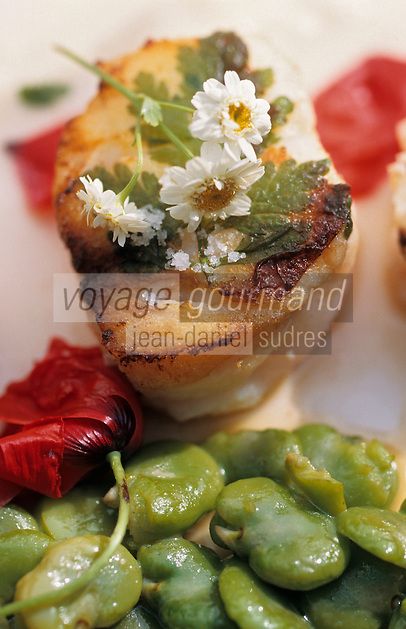 Europe/France/Provence-Alpes-Côte d'Azur/84/Vaucluse/Lourmarin : Lotte grillée et étuvée à la fleur de coquelicot, feuille de camomille et fèves - Recette du restaurant "Le Moulin de Lourmarin"