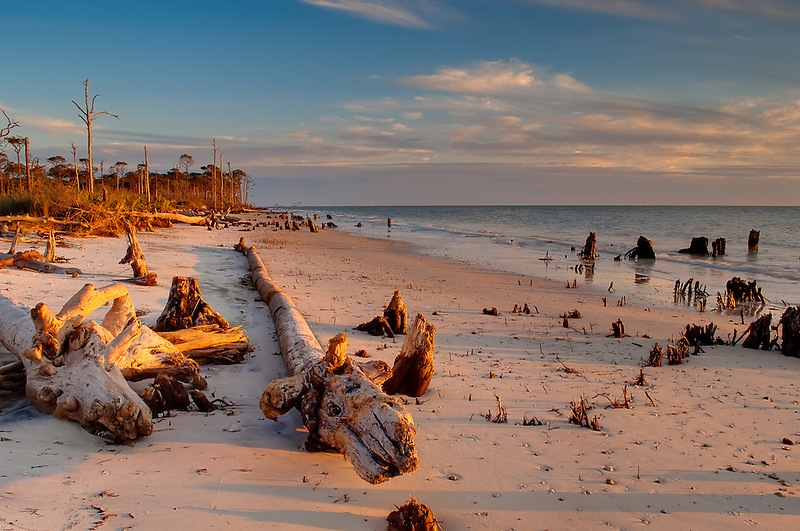 Driftwood and tree stumps on a rural beach on Cape San Blas, Florida.