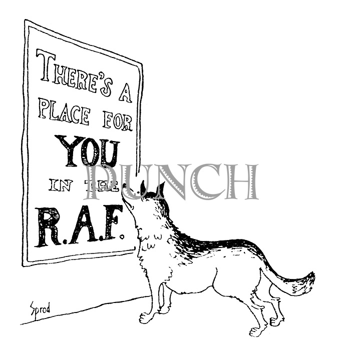 (An Alsatian dog reads a poster "There's a place for you in the RAF")