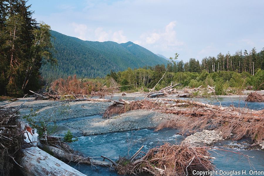 The Hoh River, known for salmon and steelhead fishing, hiking and rafting, provides a glimpse at where driftwood originates. Olympic Penninsula, Washington. Outdoor Adventure. Olympic Peninsula