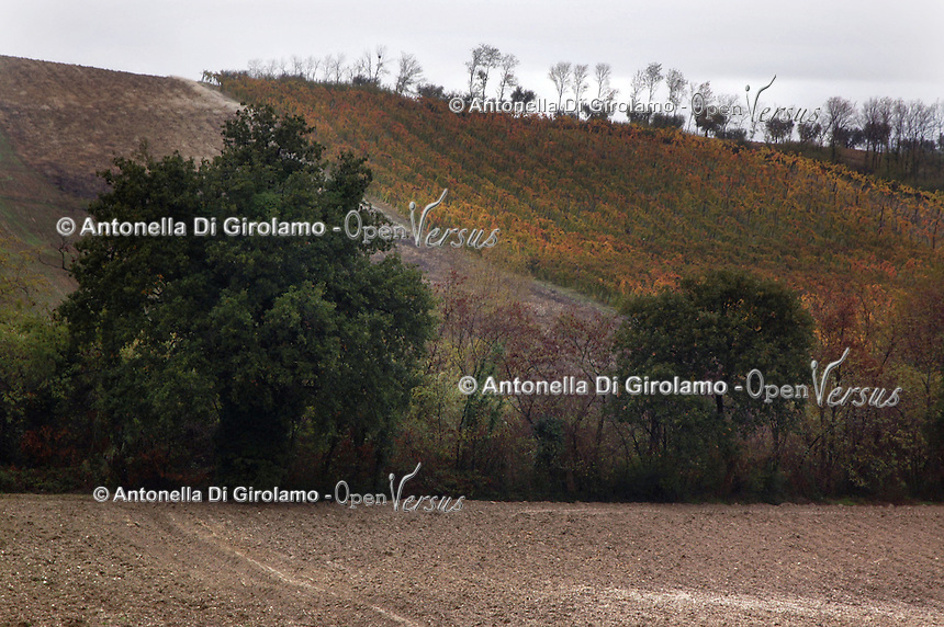 Campi arati. Plowed land. ...