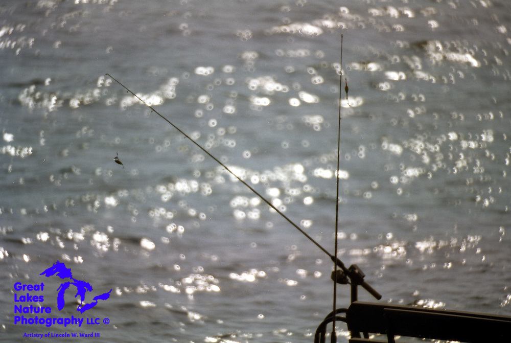 I took this photo in 2005, from the porch of our cabin, on a day when it was simply too hot to fish (like 98 degrees). Oddly enough, this is the image that always comes into my head, to this day, whenever I would rather be fishing than doing whatever else it is that I'm doing at the moment.