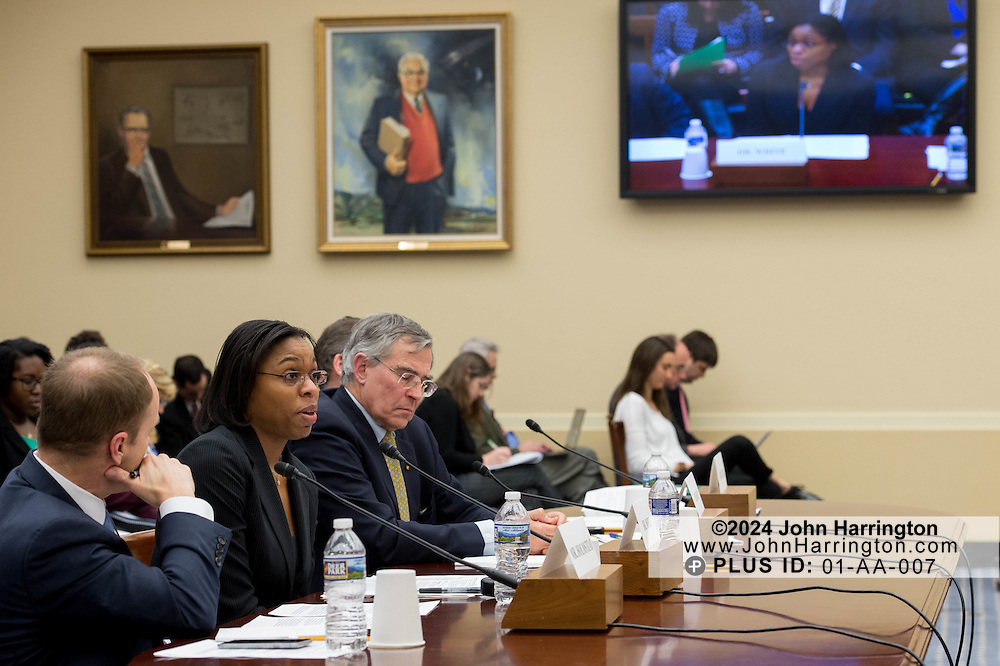 Dr. Kimberly White, Senior Director, Chemical Products and Technology, American Chemistry Council testifies before the House Committee on Science, Space, & Technology, entitled "Make EPA Great Again", Tuesday February 7, 2017 on Capitol Hill in Washington, DC.