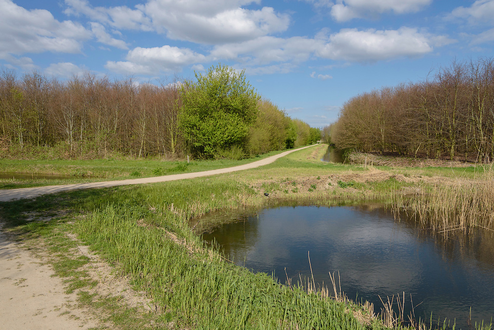 Rhoon, Valckestein, Zuid Holland, Netherlands