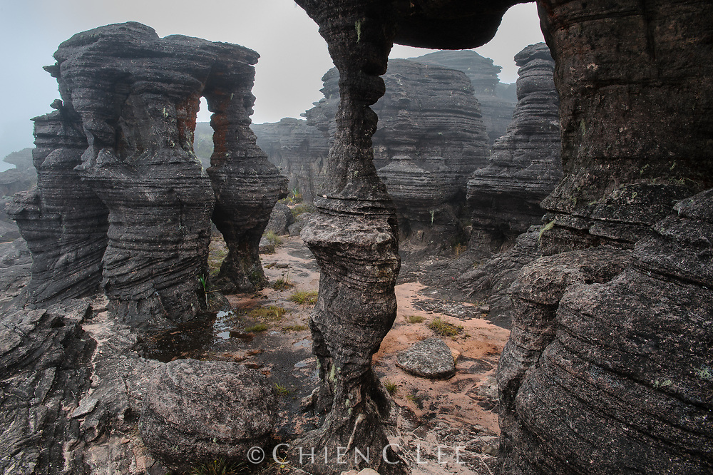 A labyrinth of wind-carved rock formations covers the tabletop plateau of Mount Roraima, one of Venezuela's most famous tepuis. Canaima National Park, Venezuela.