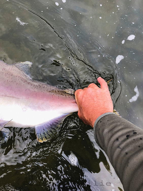 Kimsquit Bay Lodge, British Columbia, Canada. Kimsquit Lodge is a fly or boat in steelhead lodge near the Dean River owned by Jeff and Katherine Hickman.