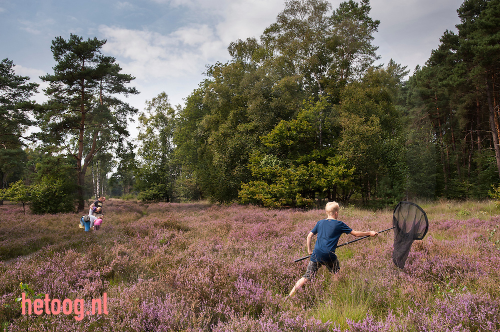 Nederland, Enschede ,Hof Espelo zondag 25aug 2013 Vlinderdag op Hof Espelo / Landschap Overijssel. Goed bezochte vlinderwandeling / zoektocht met aansluitend een theatervoorstelling over rupsen en vlinders.