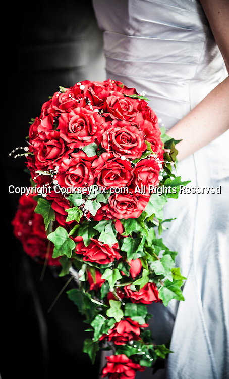 Picture by Christian Cooksey/CookseyPix.com. <br />
<br />
The wedding of Elizabeth McCallum and James Roxburgh at Edinburgh Zoo on the 14th March 2015.