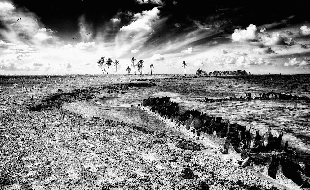 Images created during an expedition to explore the reefs surrounding Clipperton Island, 1200 km away from land.