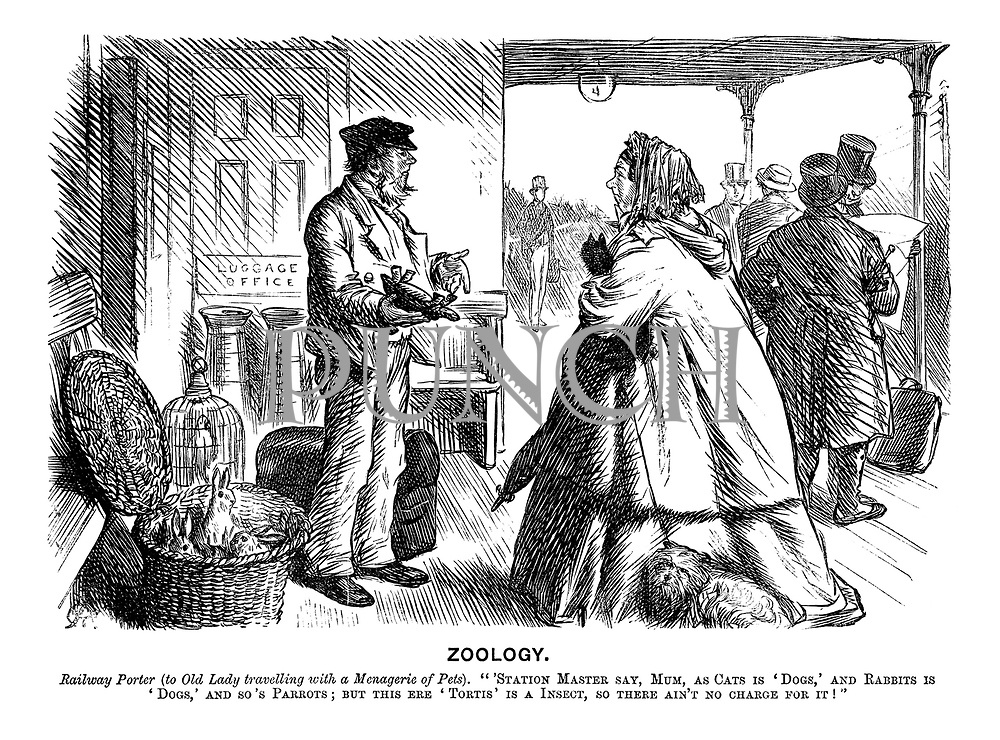 Zoology. Railway Porter (to old lady travelling with a menagerie of pets). "'Station Master say, Mum, as cats is 'dogs,' and rabbits is 'dogs,' and so's parrots; but this ere 'tortis' is an insect, so there ain't no charge for it!"