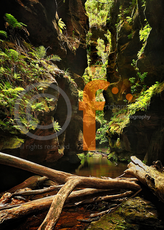 Richard Furhoff 120117_GrandCanyon2_DSC6662.NEF..