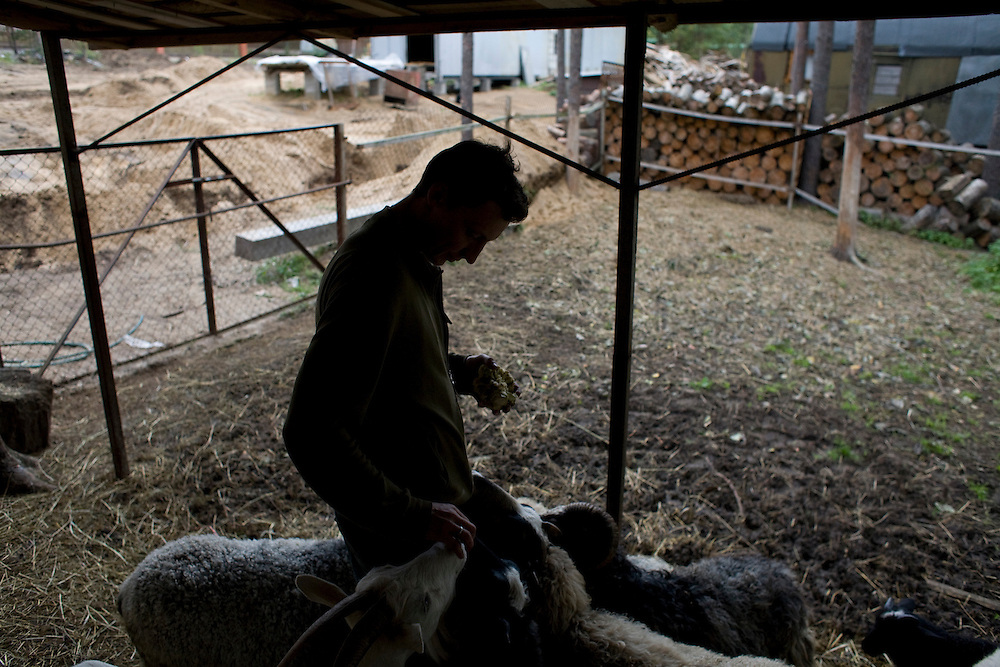 Valera, a former drug user who is now in a rehabilitation program run by the orthodox church, feeds the sheep and goats at the organization's live-in retreat in Sapernoe, Russia, on Saturday, September 15, 2007. About a dozen people at a time live and work at the remote farm, about two hours from St. Petersburg, for a free one year course of treatment.