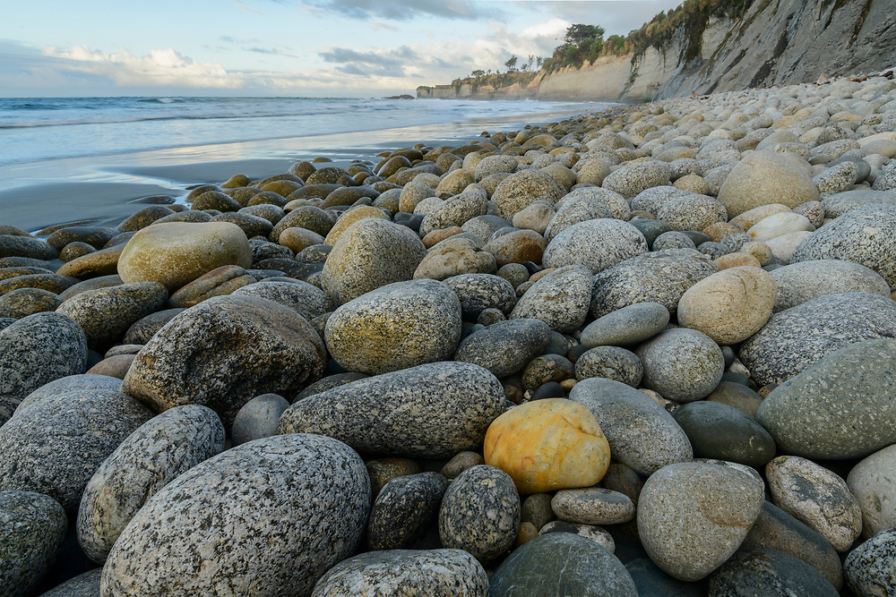 Oceania; New Zealand; Aotearoa; South Island; West Coast; Beach near Cape Foulwind;
