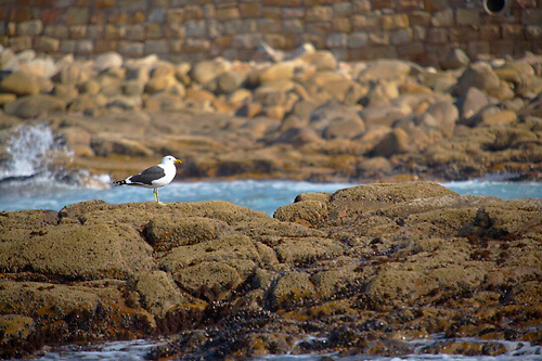 Travel, Garden Route, South Africa