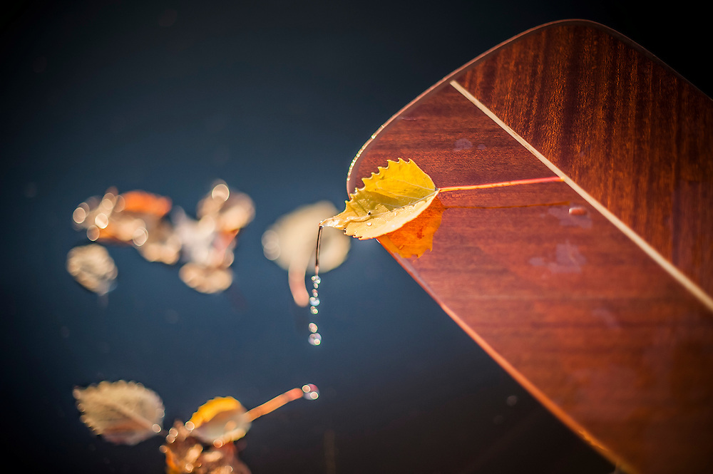 Canoeing during fall autumn along the Indian River National Wild and Scenic River of the Hiawatha National Forest in Michigan.